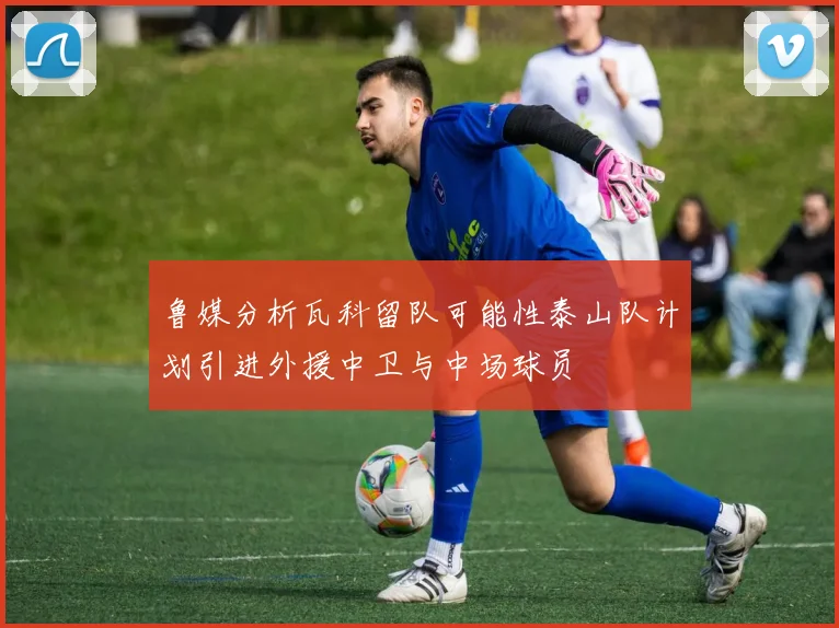 鲁媒分析瓦科留队可能性泰山队计划引进外援中卫与中场球员