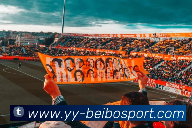 App Interface Preview